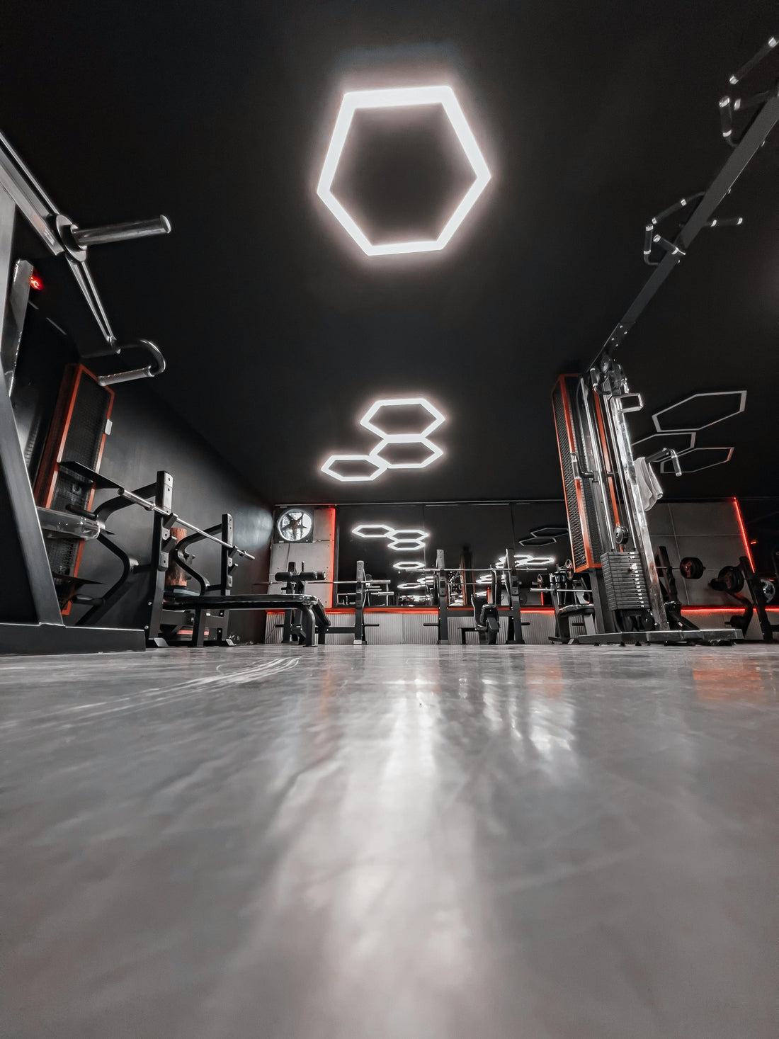 The Most Effective Exercises for Strength and Muscle Growth